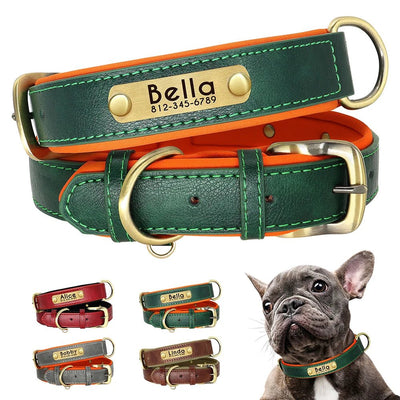 Custom Leather Dog ID Collar - Poochi Paws