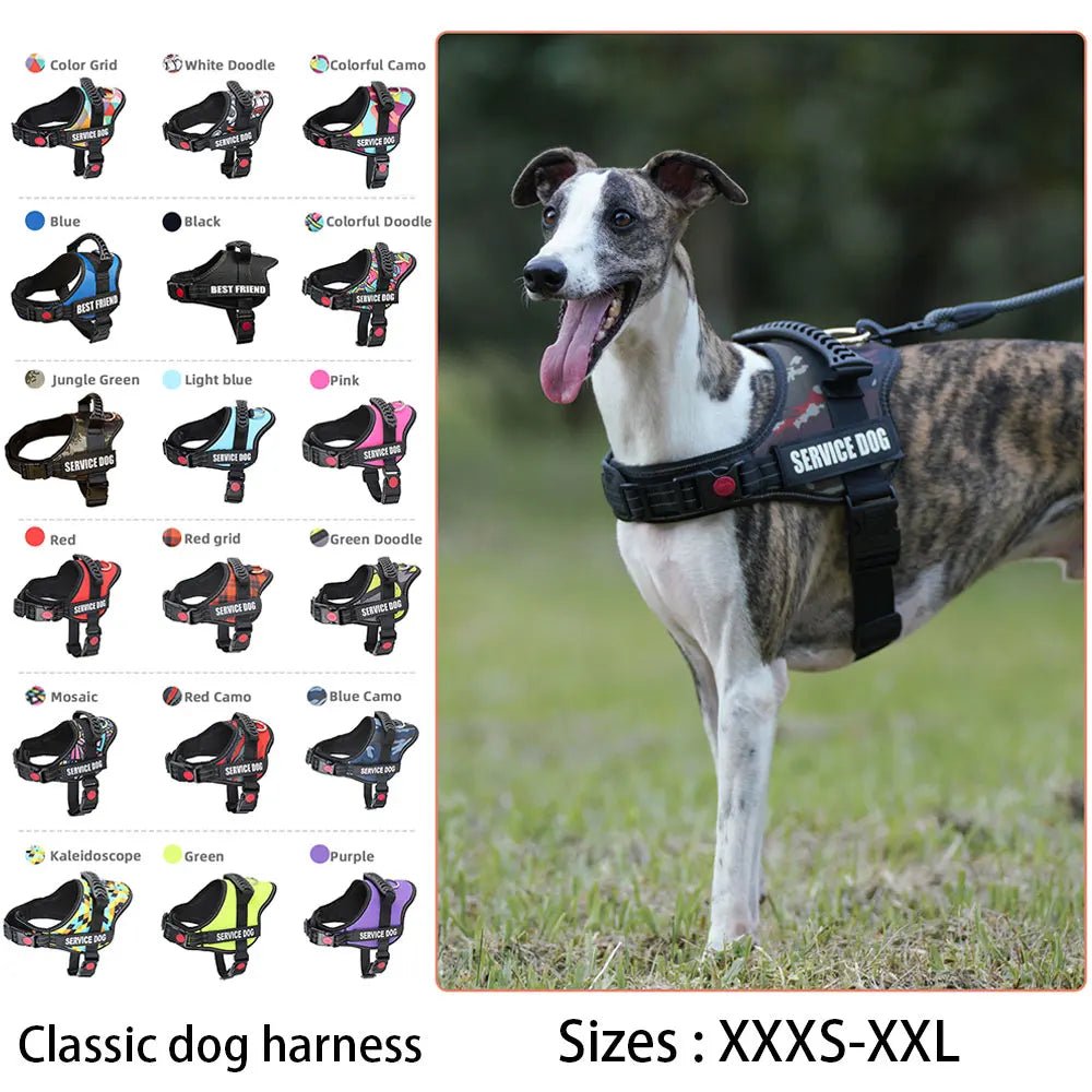 Customizable Luxury Dog Harness - Poochi Paws