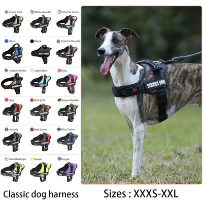 Customizable Luxury Dog Harness - Poochi Paws