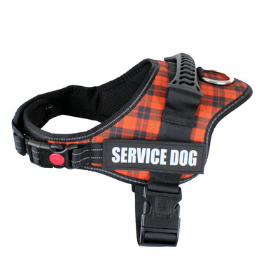 Customizable Luxury Dog Harness - Poochi Paws