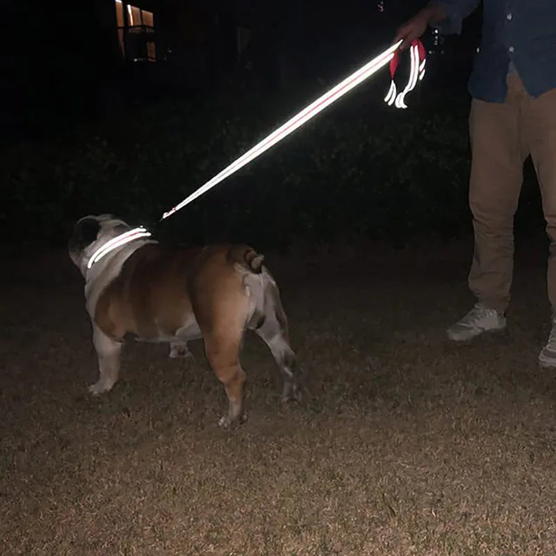 Reflective Pet Walking Leash