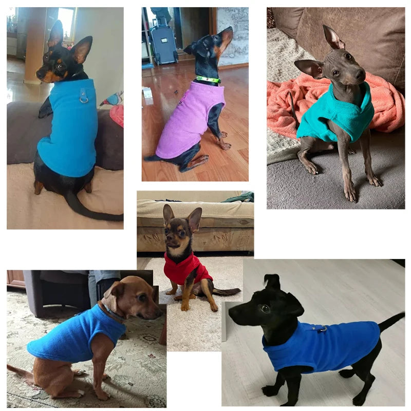 Cozy Winter Dog Jacket