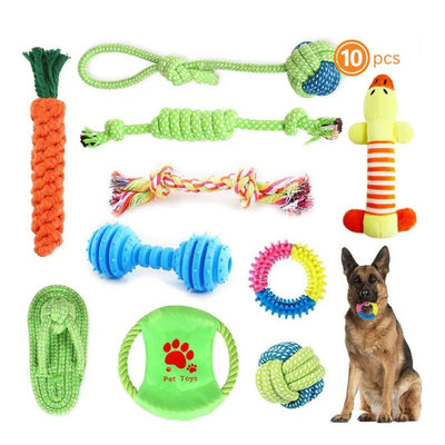 Fast Shipping 10-Piece Bite-Resistant Molar Dog Toys Teal Zeus