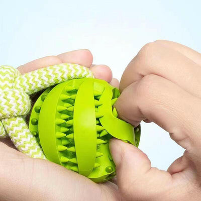 Interactive Dog Treat Ball