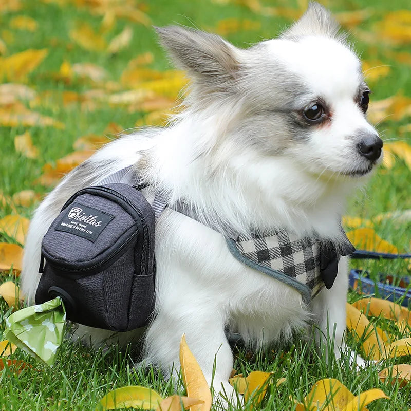 Portable Dog Treat Pouch