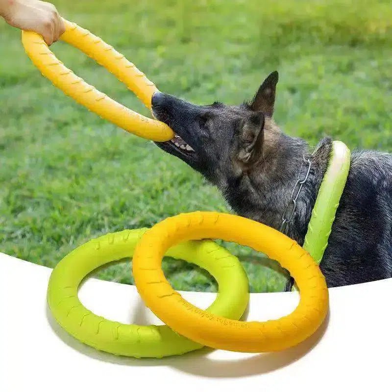 Durable Flying Disk Toy - Poochi Paws