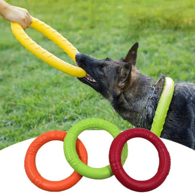 Durable Flying Disk Toy - Poochi Paws