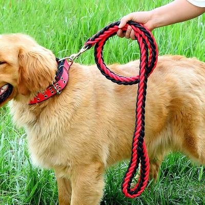 Durable Nylon Dog Collar Leash Set - Poochi Paws