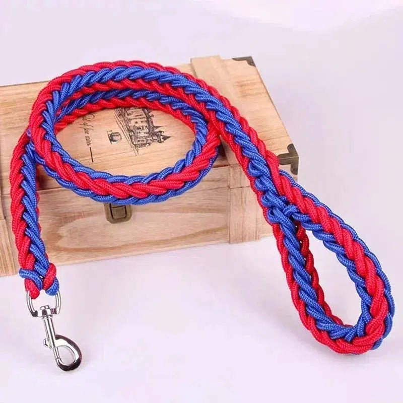 Durable Nylon Dog Leash Harness - Poochi Paws