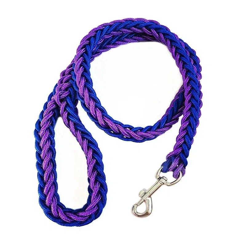 Durable Nylon Dog Leash Harness - Poochi Paws