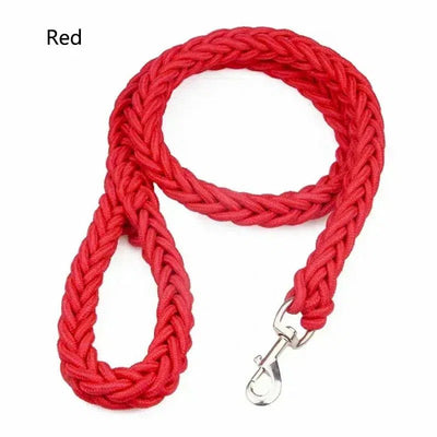 Durable Nylon Dog Leash Harness - Poochi Paws