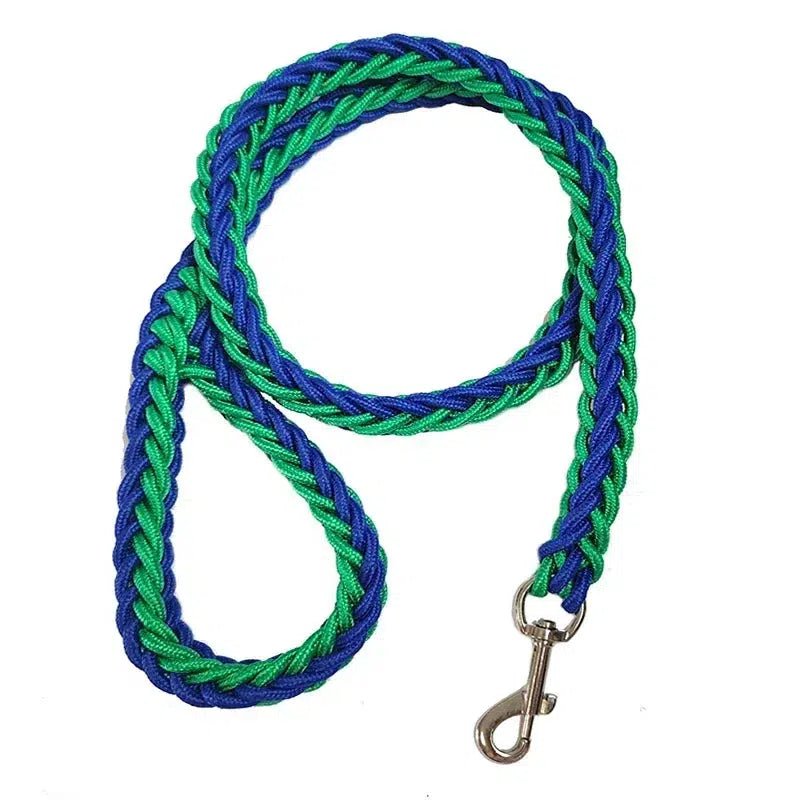 Durable Nylon Dog Leash Harness - Poochi Paws