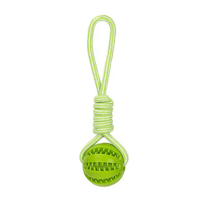 Interactive Dog Treat Ball