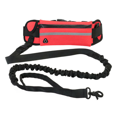 Hands-Free Dog Walking Leash