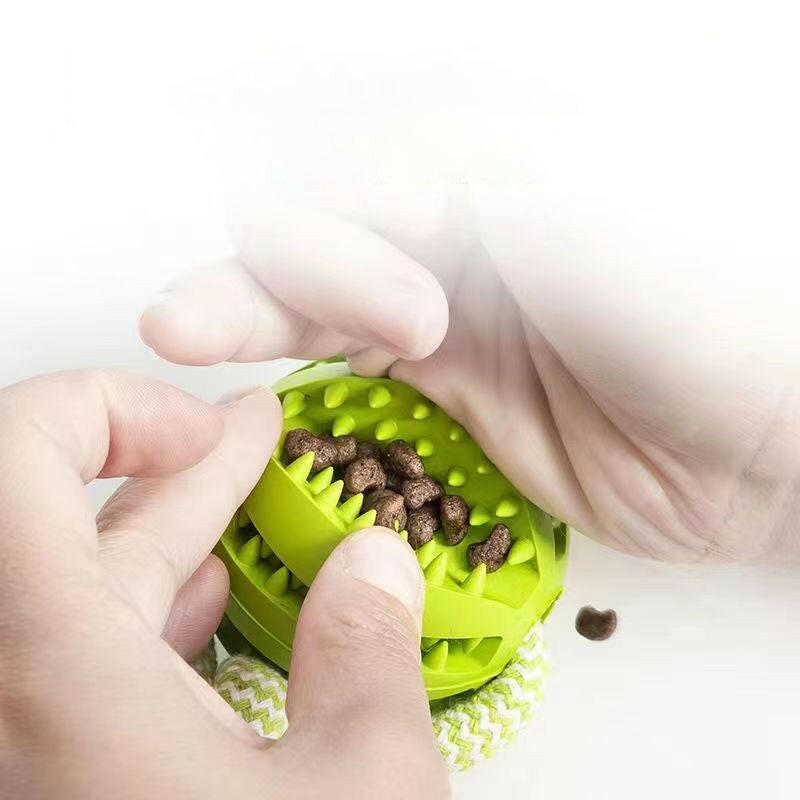 Interactive Dog Treat Ball