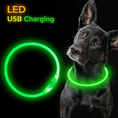 LED Dog Collar - USB Glowing