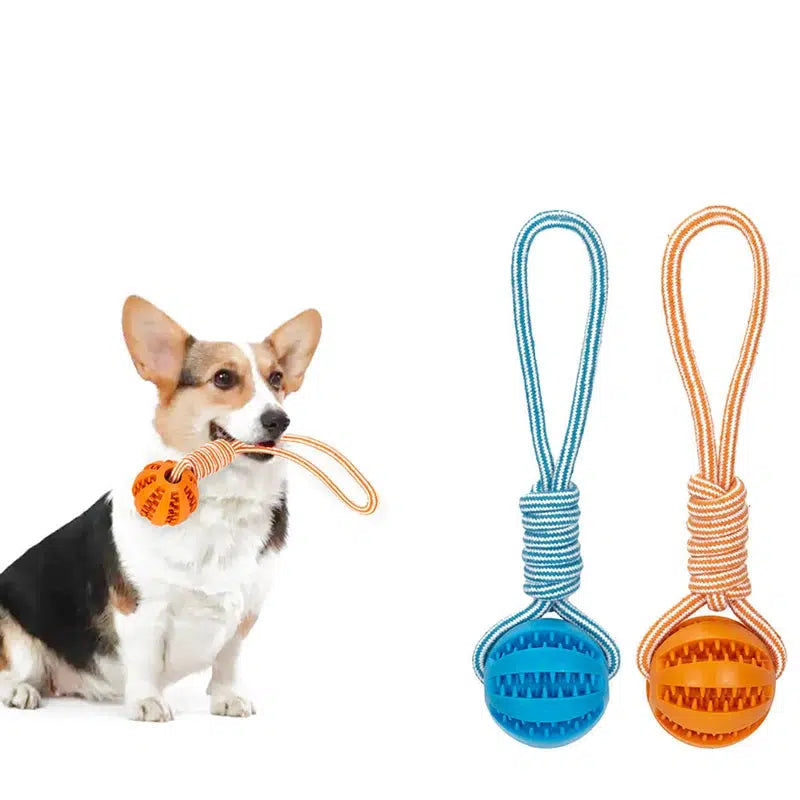 Interactive Dog Treat Ball