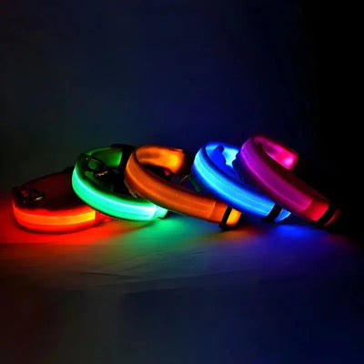 LED Glow Dog Collar