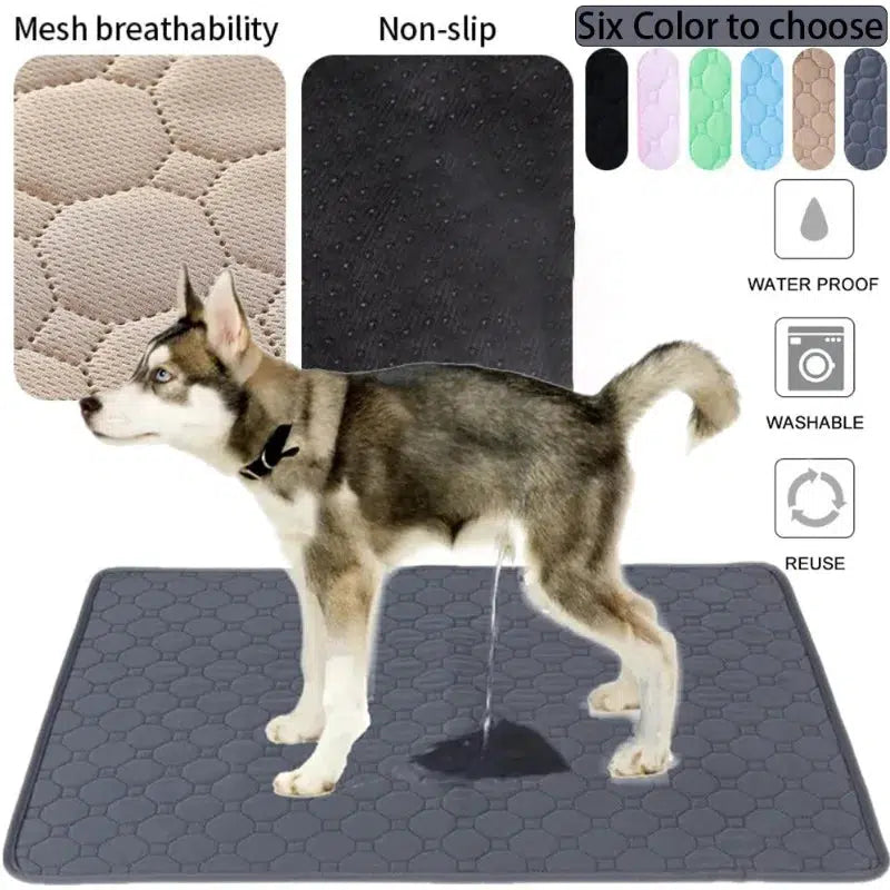 Washable Dog Pee Pad Blanket