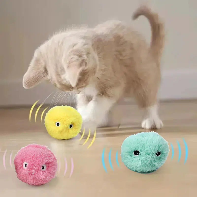 Interactive Catnip Squeak Ball