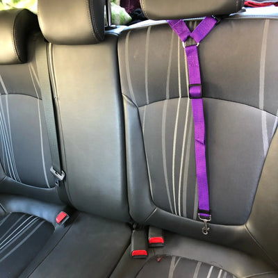 Two-in-One Pet Car Seatbelt