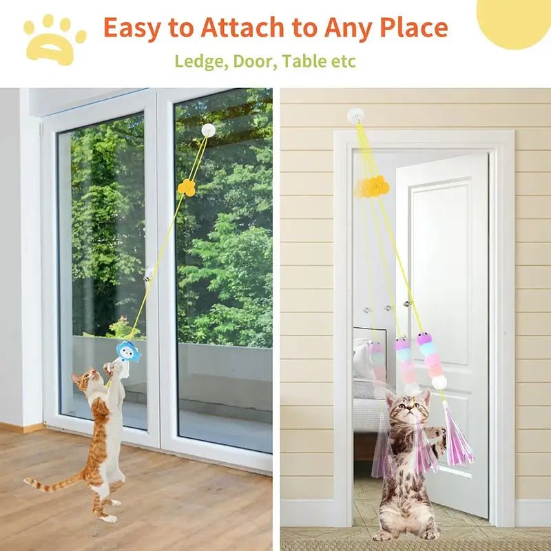 Hanging Elastic Cat Toy - Poochi Paws