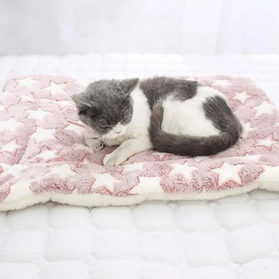 Cozy Pet Blanket