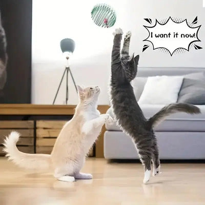 Interactive Cat Toy Balls - Poochi Paws