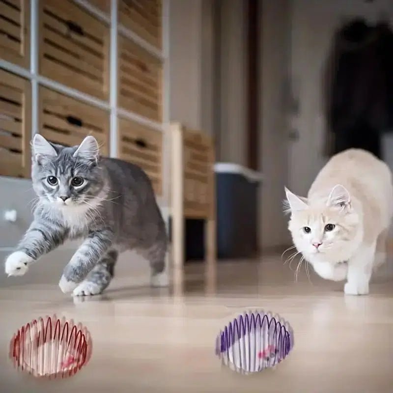 Interactive Cat Toy Balls - Poochi Paws