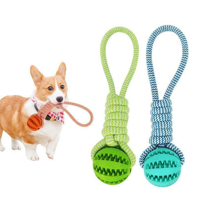 Interactive Dog Treat Ball - Poochi Paws