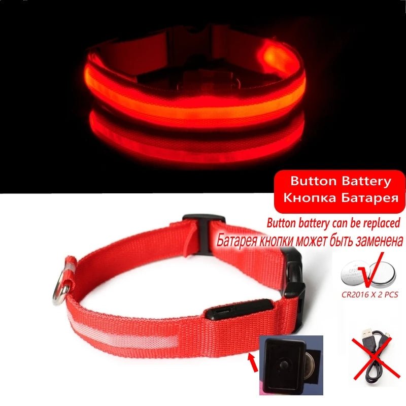 LED Anti - Lost Dog Collar - Poochi Paws