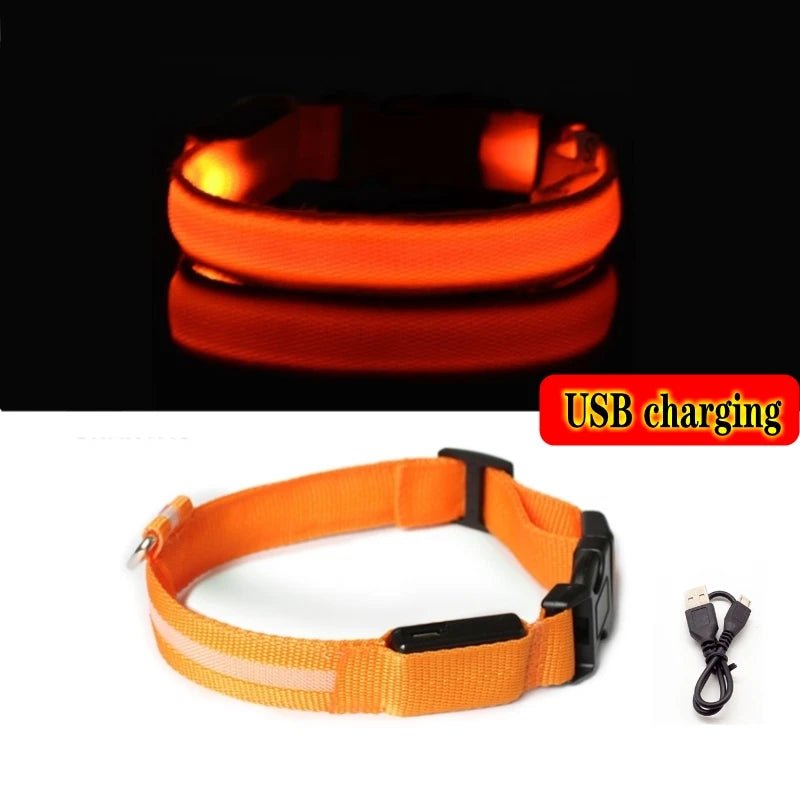 LED Anti - Lost Dog Collar - Poochi Paws