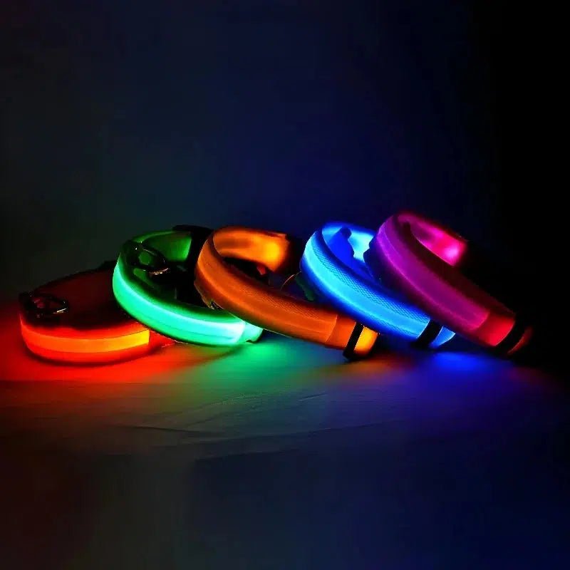 LED Glow Dog Collar - Poochi Paws