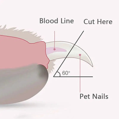 LED Light Pet Nail Clippers - Poochi Paws