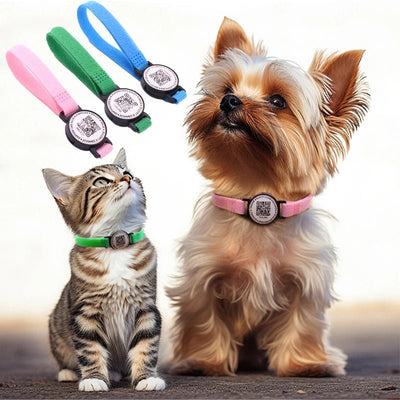 Newborn Pet QR ID Collar - Poochi Paws