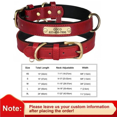 Personalized Leather Dog Collar - Poochi Paws