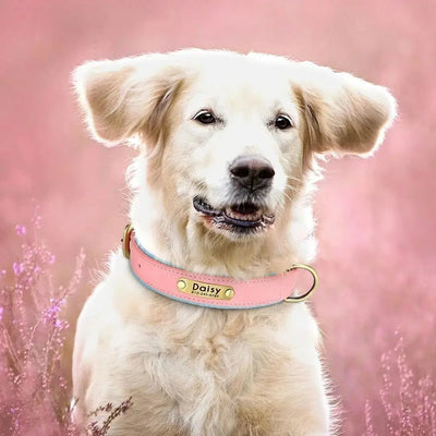 Personalized Leather Dog Collar - Poochi Paws