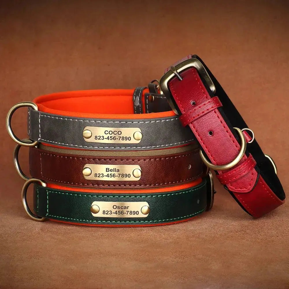 Personalized Leather Dog Collar - Poochi Paws