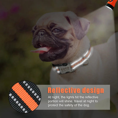 Personalized Reflective Dog Collar - Poochi Paws