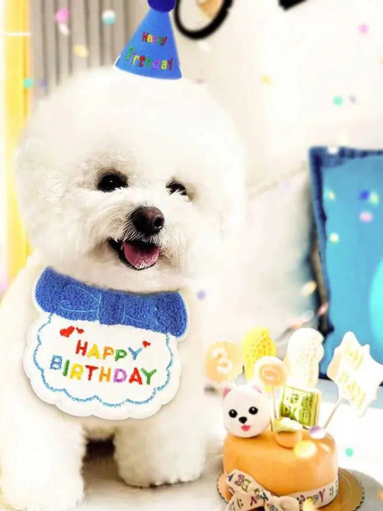 Pet Birthday Party Set - Poochi Paws