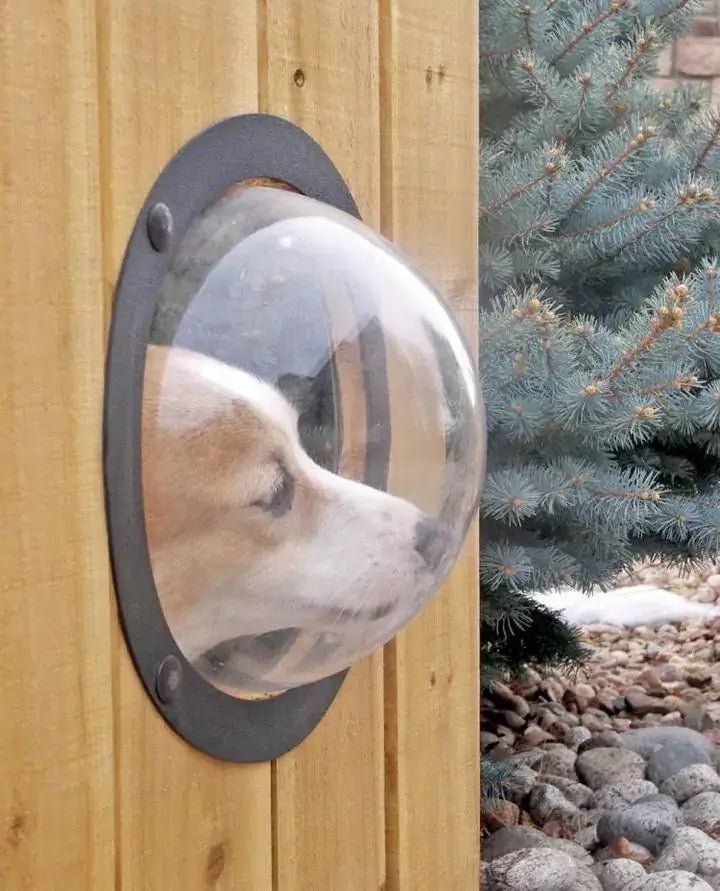 Pet Peek Fence Window - Poochi Paws