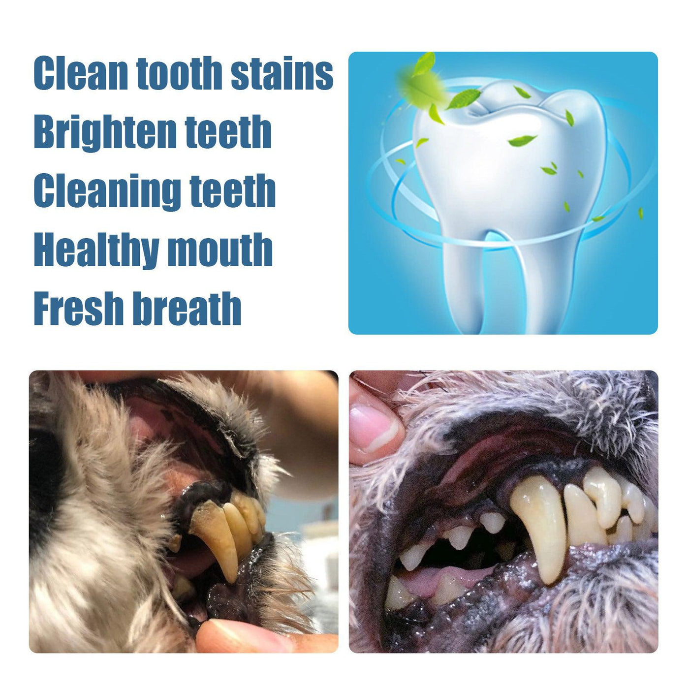 Pet Teeth Whitening Pen - Poochi Paws