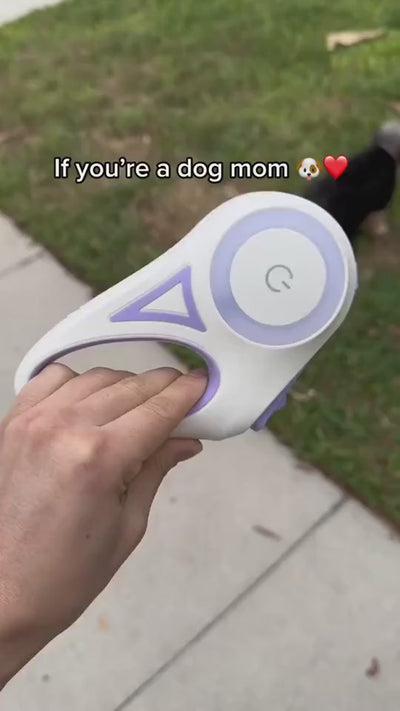 Illuminated Retractable Dog Leash.