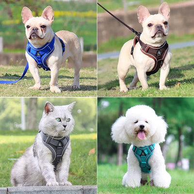 Reflective Dog Harness Set - Poochi Paws