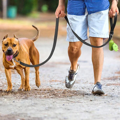 Reflective Pet Harness and Leash - Poochi Paws