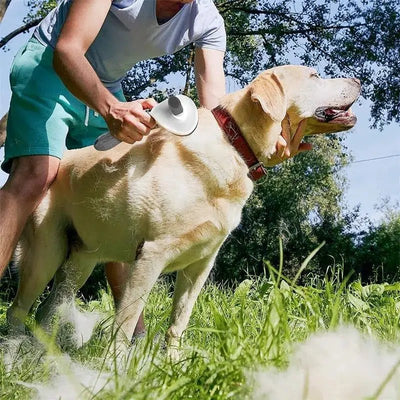 Self - Cleaning Pet Hair Brush - Poochi Paws