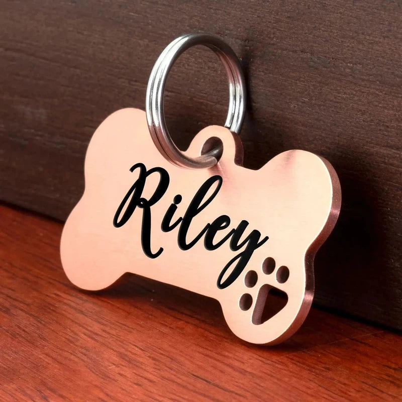 Shiny Steel Pet ID Tag - Poochi Paws