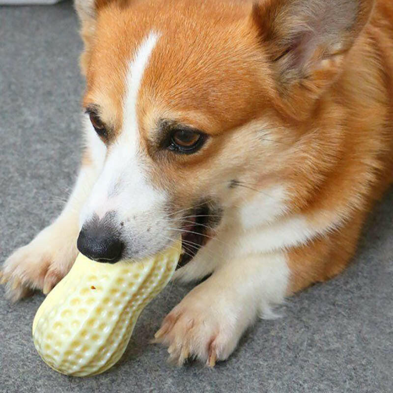 Squeaky Dog Chew Toy - Poochi Paws