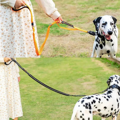 Tactical Bungee Dog Leash - Poochi Paws