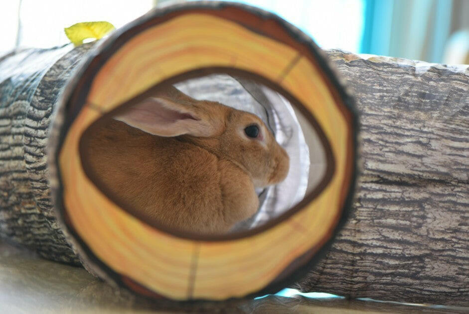 Tree Pattern Cat Tunnel Toy - Poochi Paws